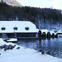 ���� ����� ���������, ���� - ��������� 24 ������ 2013 � ������ ���� ����������