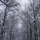   (Paolo Genua),  -  9  2010   ... ...