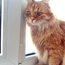 ���� ����, ����, 61 ��� - ��������� 30 ������ 2012 � ������ ���� ����������