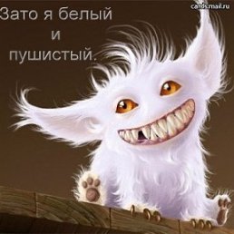 ���� Alex, ��������, 41 ��� - ��������� 14 ������� 2012