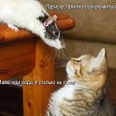 ���� ����� - ���������� ��������!!!, �����������, 56 ��� - ��������� 13 ������� 2009 � ������ ��������� ����һ