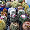 ���� ������, ������, 69 ��� - ��������� 5 ������ 2013 � ������ ���� ��������� ����������