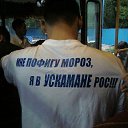 ���� ������, ����-�����������, 44 ���� - ��������� 2 ������� 2012 � ������ ���� ����������