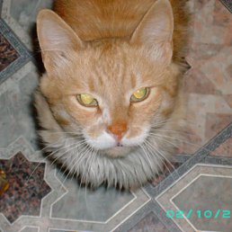 ���� ��������, �������� - ��������� 12 ����� 2010