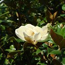 ���� ������, �������, 56 ��� - ��������� 22 ������� 2010 � ������ ��� ����