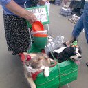 ���� ������-�, ����, 63 ���� - ��������� 12 ���� 2010 � ������ ������Ż