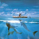 ���� Knoss, ������������, 26 ��� - ��������� 29 ������ 2010 � ������ �������� � �����