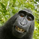 ���� ��� ���, ���������, 50 ��� - ��������� 19 �������� 2011