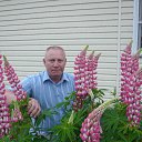 ���� ���������, ����, 68 ��� - ��������� 30 ���� 2012 � ������ ���� ����������