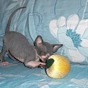 ���� ������, �����-���������, 47 ��� - ��������� 16 ������ 2011 � ������ ������� 2011�