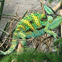 ���� ��������, ������ - ��������� 14 ������ 2011 � ������ ����������