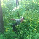 ���� ����, �������� - ��������� 16 ��� 2013 � ������ ���� ����������