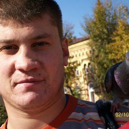 �����, ������-���������, 41 ���