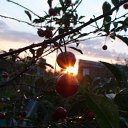 ��������� �������