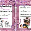 ������� ���� �������)) ������� �����! �� ������� �������� Kitty!�