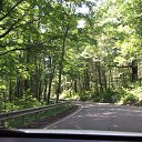 ���� �������, �������, 47 ��� - ��������� 21 ������ 2012 � ������ ���� ����������