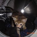 ���� �����, ������������, 50 ��� - ��������� 5 ������ 2010 � ������ �����