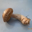 ���� �����, ������ - ��������� 5 ������� 2012 � ������ ����� ��������