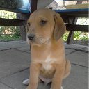  {} Den,  -  30  2012    