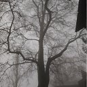 ��� �� �����, ��� -������ �� ������� �����