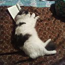 ���� ��������, ������������, 64 ���� - ��������� 14 ������� 2009 � ������ ��������� �����