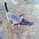 ���� Andfrei, ������, 53 ���� - ��������� 16 ������ 2012