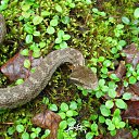 ���� �������, ������� - ��������� 27 ������ 2013 � ������ ���� ����������