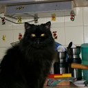 ��� ����������� �� ������� �������