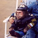 ���� ���, ���, 25 ��� - ��������� 14 ������ 2010 � ������ ���������