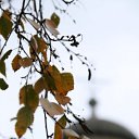 ���� �ocpucm, ������, 48 ��� - ��������� 4 ������ 2009 � ������ �"��� ���� � � ��� � n��" � ����� ;-)�