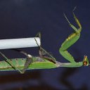 ���� ������, ������, 55 ��� - ��������� 9 ������� 2013 � ������ ��������...�