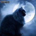 ���� - Dashenka, ��������, 27 ��� - ��������� 11 ����� 2012 � ������ ���� ����������