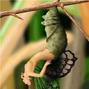 ���� ����, ���� - ��������� 19 ��� 2013 � ������ ���� ����������