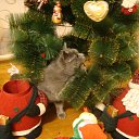 ���� ������, ������ - ��������� 24 ������� 2013 � ������ ���� ������� ))�
