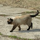 ���� Kasatkin, ����������, 48 ��� - ��������� 30 ��� 2011 � ������ �������