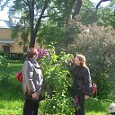 ���� ����, �����-���������, 60 ��� - ��������� 3 ������� 2010 � ������ ���� ����������