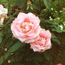 ���� ��������, ������������, 64 ���� - ��������� 14 ������� 2009 � ������ ��������� �����