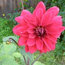 ���� �������, ������, 60 ��� - ��������� 2 ������� 2011