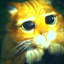 ���� �����, �������, 52 ���� - ��������� 24 ������� 2011