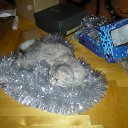 ���� Svetlanas, ���������, 47 ��� - ��������� 7 ���� 2010 � ������ ���� �������