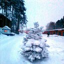 ���� ������, ����������� - ��������� 23 ������ 2013 � ������ ���� ����������