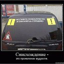 ���� ���, ���������, 37 ��� - ��������� 17 ������ 2013 � ������ ��������������