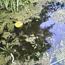 ���� �������, ����, 56 ��� - ��������� 19 ������� 2011 � ������ ���� ����������