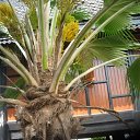 ���� �������������, �����-��������� - ��������� 4 ������� 2009 � ������ �����