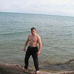 ���� �������, ������, 43 ���� - ��������� 23 ���� 2010