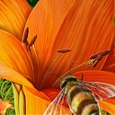 ���� ����� - ���������� ��������!!!, �����������, 56 ��� - ��������� 15 ������ 2010 � ������ �������� ��� ���� :-)))�