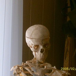 ���� �����, ������, 41 ��� - ��������� 5 ������� 2012