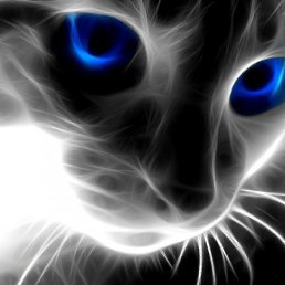 ���� ������, ������, 48 ��� - ��������� 18 �������� 2011