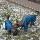 ���� ����, ������, 45 ��� - ��������� 22 ������ 2012