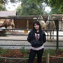 ���� �����, ����������, 42 ���� - ��������� 31 ������� 2012 � ������ ���� ����������